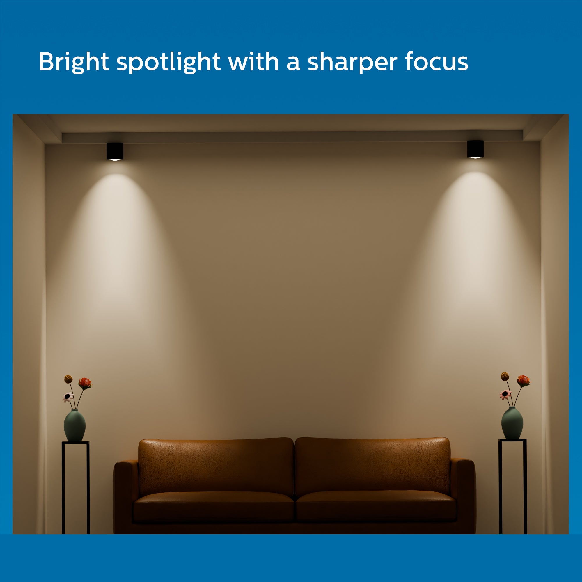 Philips Surface Synthetic LED Spot