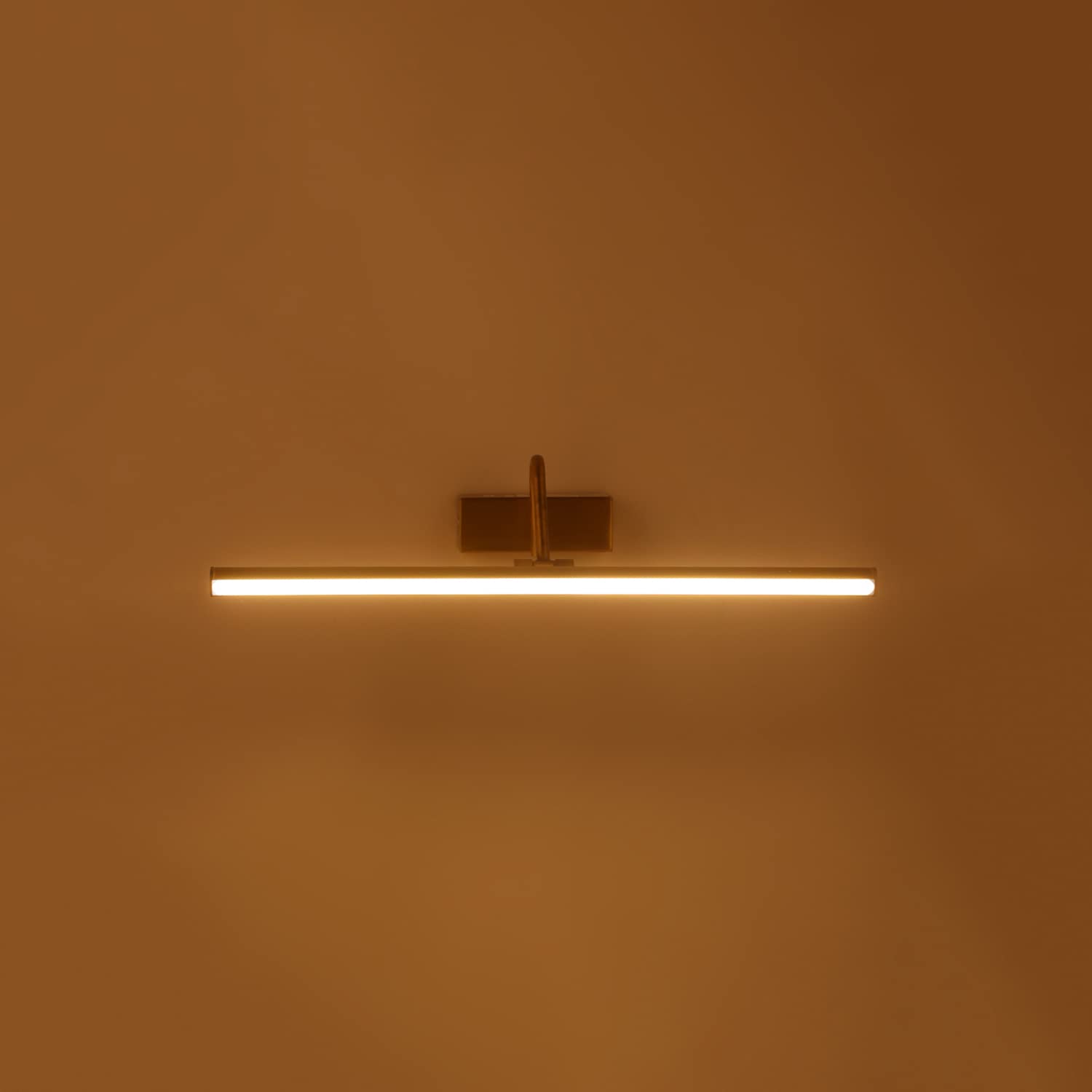 Philips Muziris Picture light