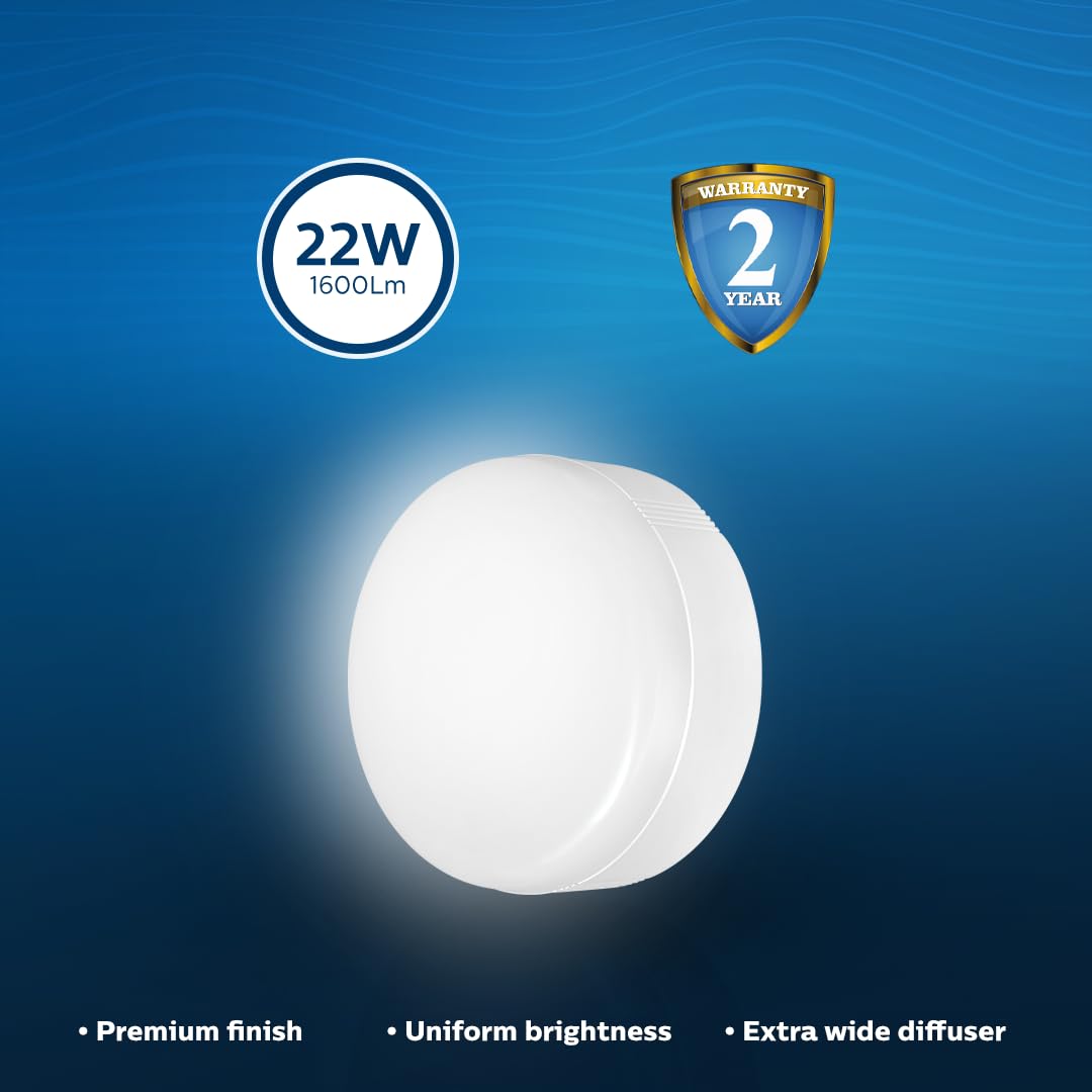 Philips Rimless Surface LED Light