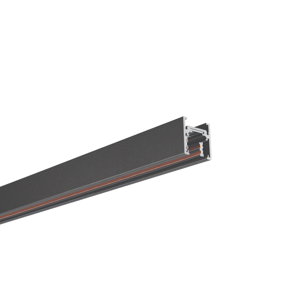 Philips Micro Surface & Suspended Track for Webber Magnetic Track