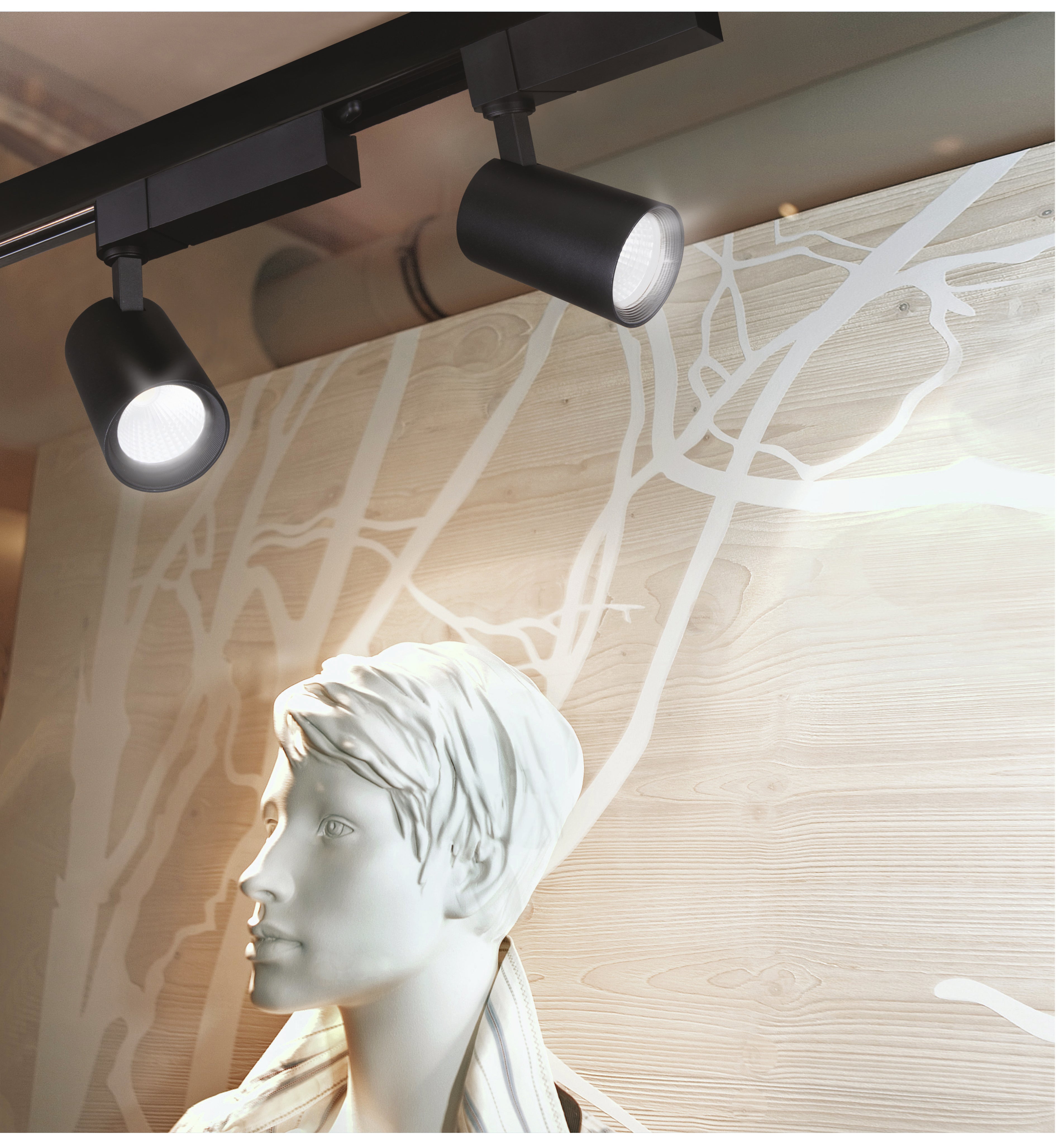 Buy Philips Stanchion Track light – Philips lighting Online Store