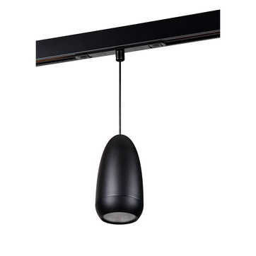 Philips Webber Medallion Pendant light