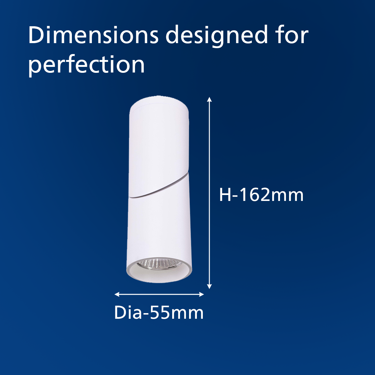 Philips Flex Pro COB Spotlight
