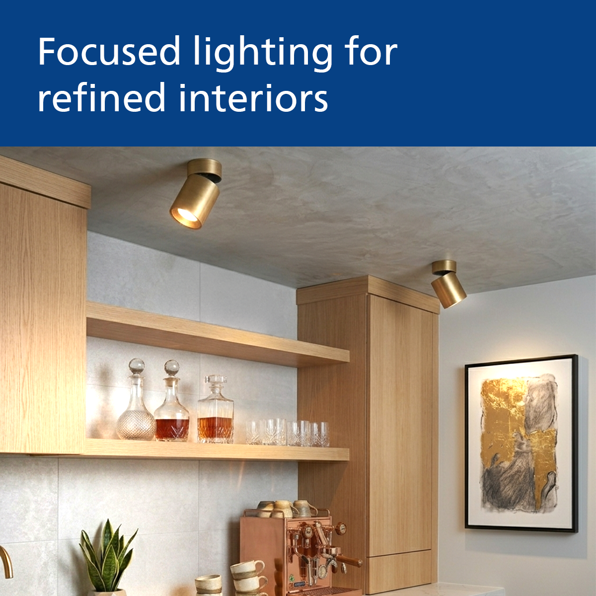 Philips Brass Flex Surface LED COB