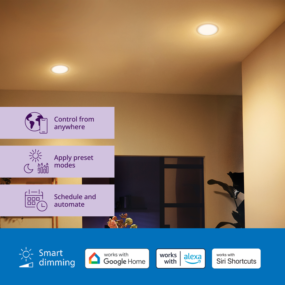 Ceiling Light Scheduling Lights With Google Home Smart LED Flush