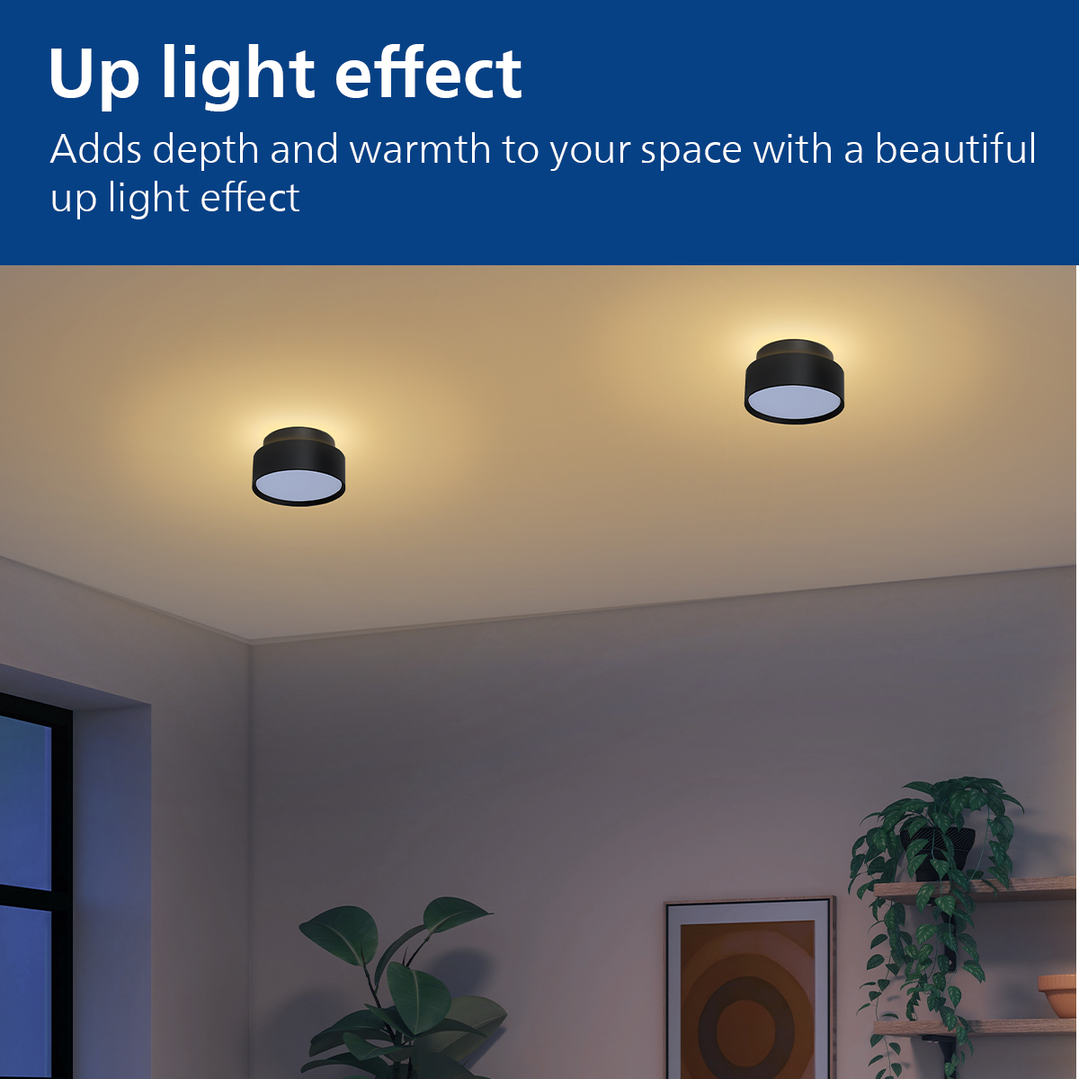 Philips Up-Down LED Surface COB