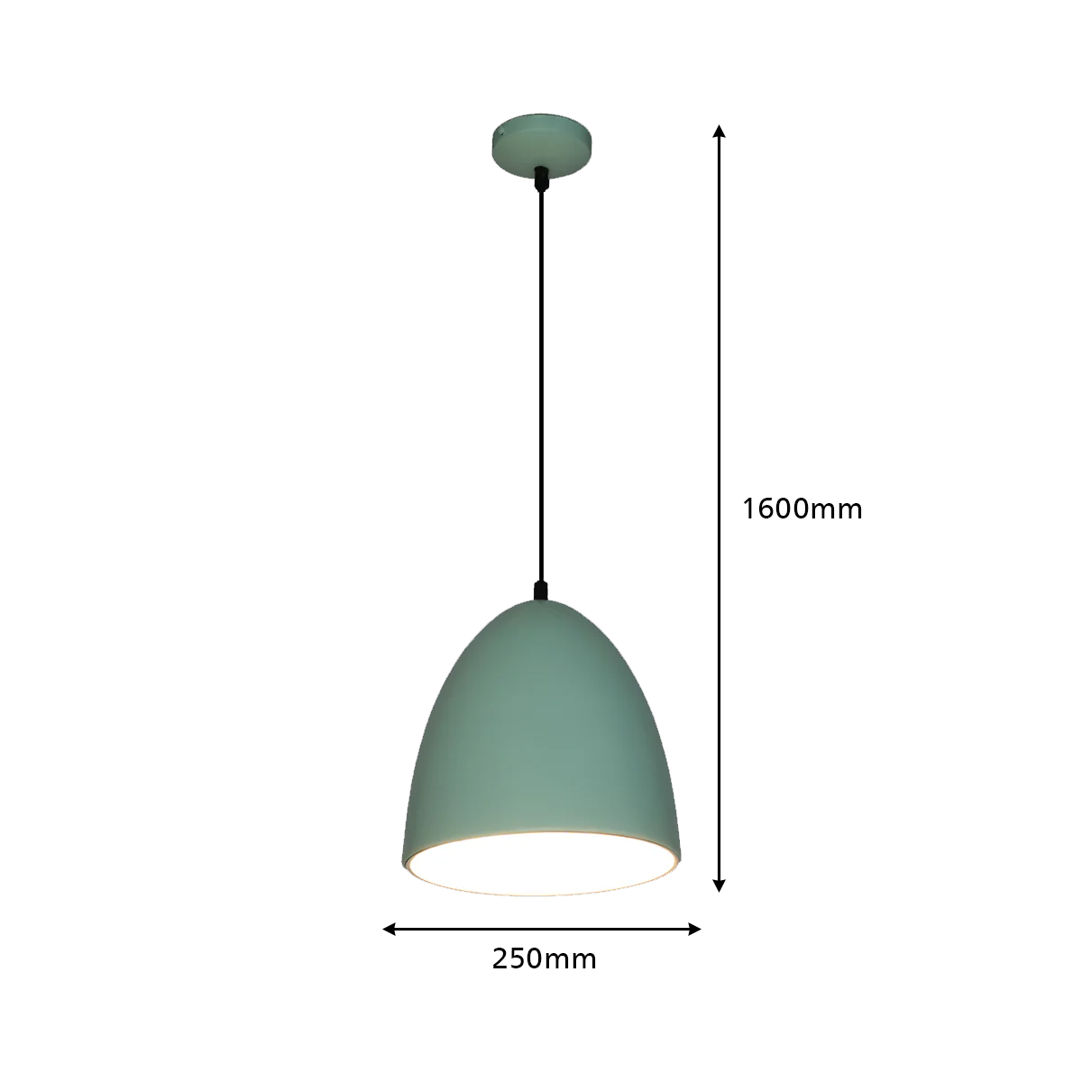 Philips Gemini Pendant Light