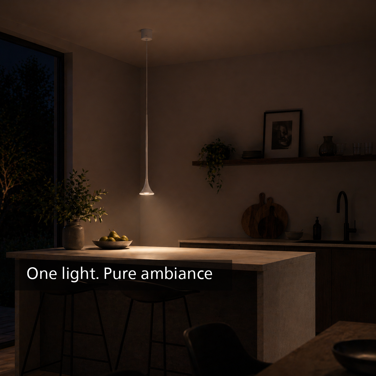 Philips Clarinet Pendant light