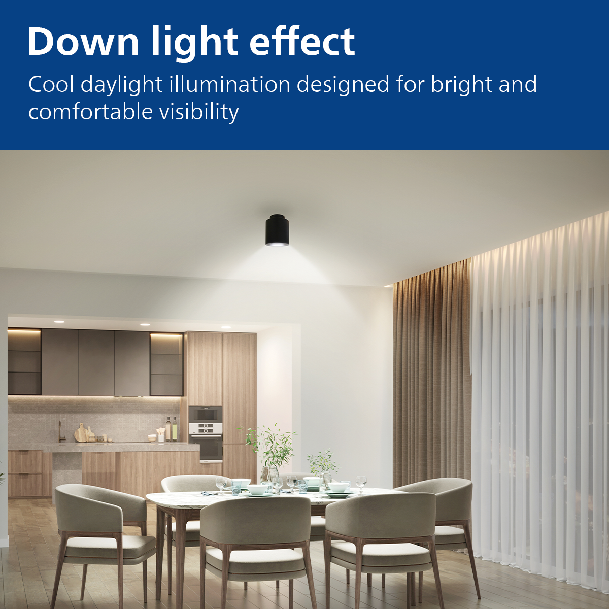 Philips Up-Down LED Surface COB