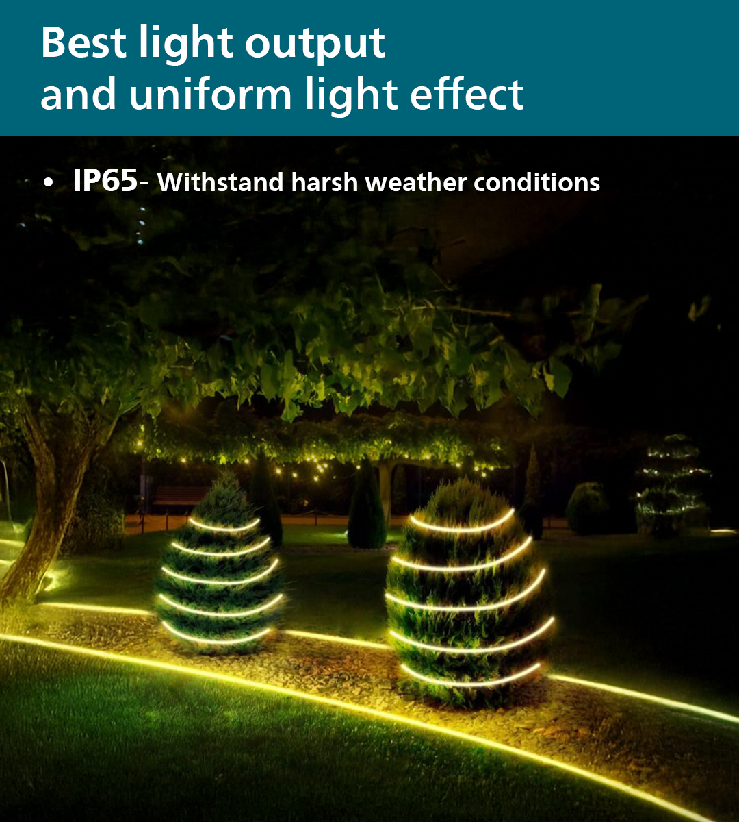 Philips Marathon LED Rope light (72 LEDs, 50 meter)