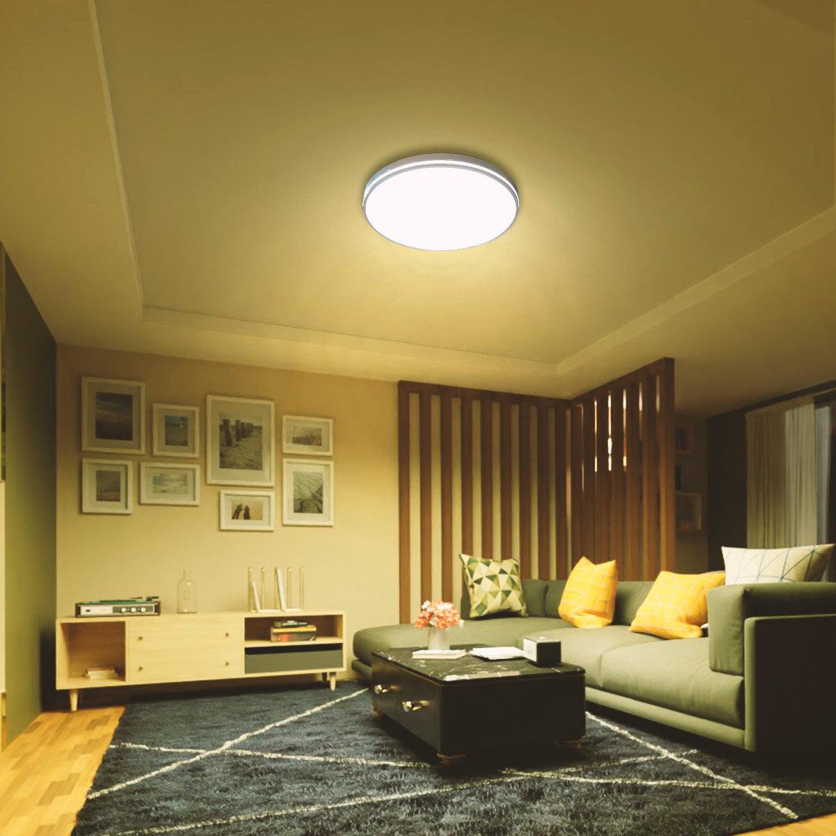 Philips Dome Ceiling light