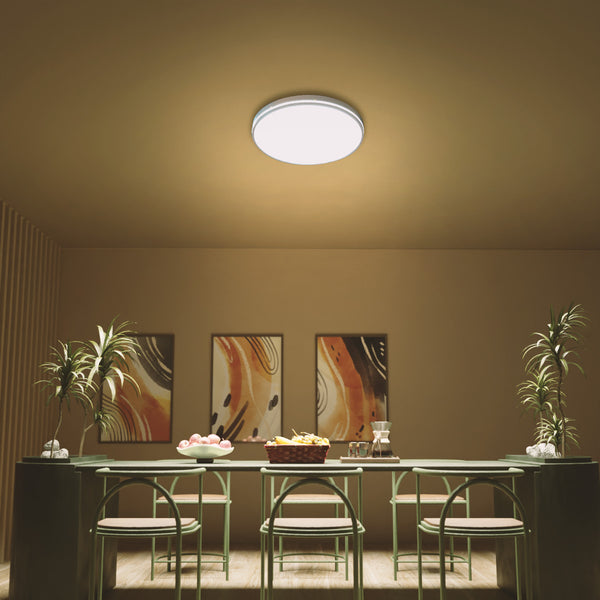 Buy Philips Dome ceiling light Decorative ceiling light Philips