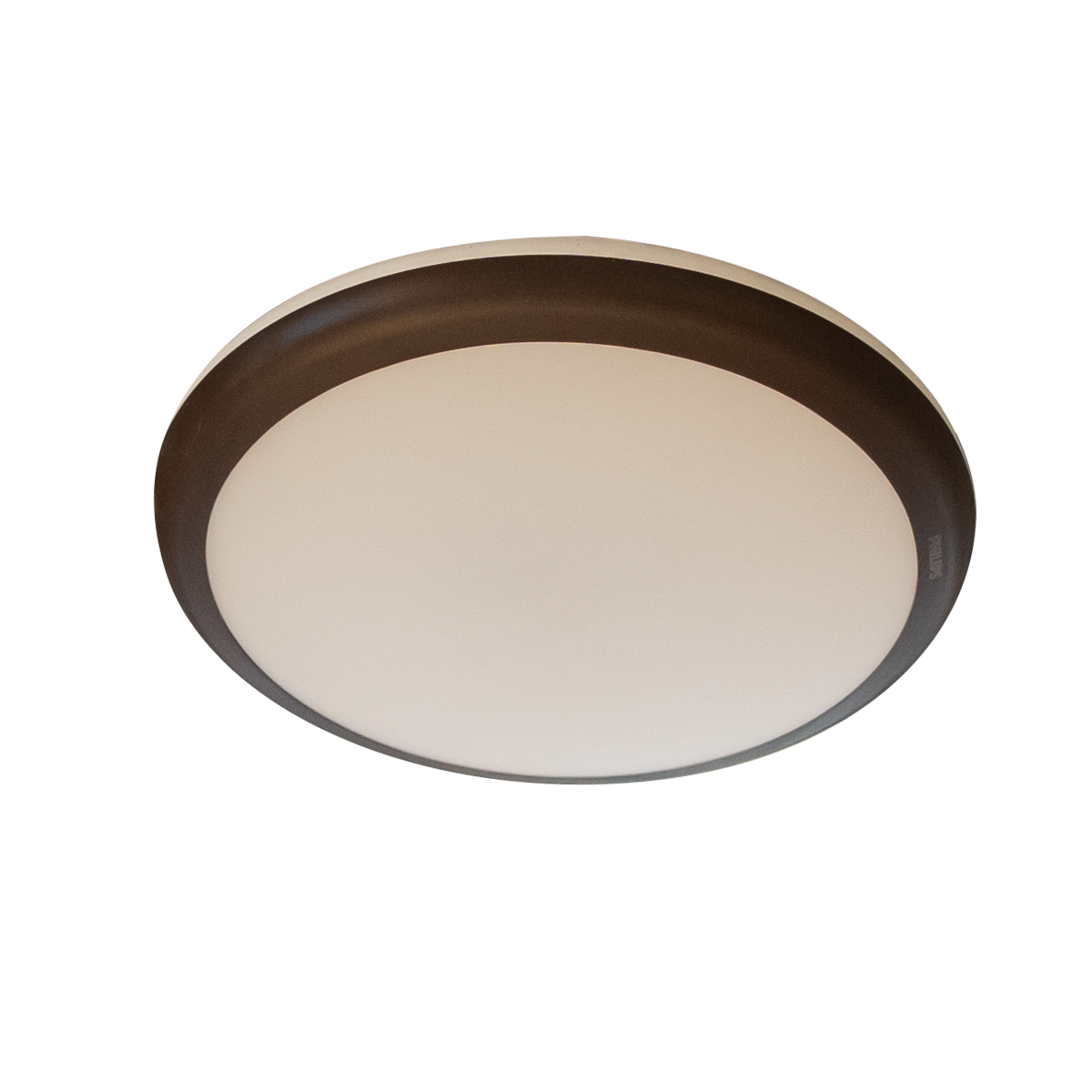 Philips hanging best sale lights catalogue